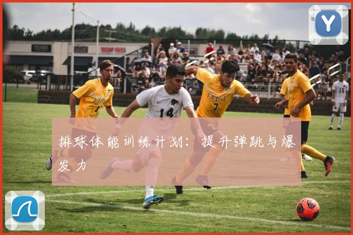 排球体能训练计划：提升弹跳与爆发力