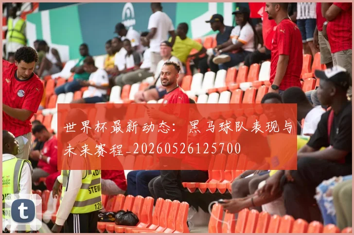 世界杯最新动态：黑马球队表现与未来赛程_20260526125700